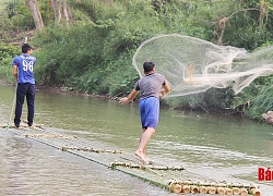 Cả làng giữ đoạn suối 3km, khi "có lệnh" chài 1 phát toàn cá ngon