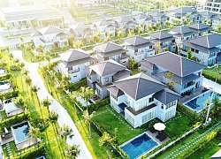 CEO Group báo lãi sau thuế 607 tỷ đồng năm 2019, vượt gần 37% kế hoạch năm