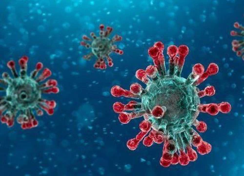 Chuyên gia Trung Quốc: Virus corona có thể lây qua đường tiêu hoá