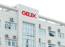 Gelex (GEX) báo quý 4/2019 lãi 145 tỷ đồng giảm 1 nửa so với cùng kỳ