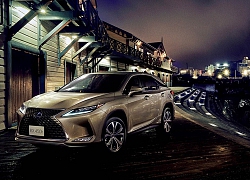 Lexus công bố doanh số toàn cầu năm 2019, cao kỷ lục chưa từng có