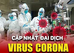 Người thứ 8 tại Việt Nam nhiễm virus corona