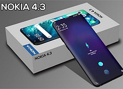 Nokia 4.3 (TA-1207) vừa đạt một chứng nhận quan trọng, sắp sửa trình làng?