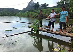 Phong trào thi đua sôi nổi, nông thôn Sìn Hồ thêm giàu đẹp