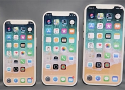 Trên tay mô hình bộ ba iPhone 12 ra mắt vào tháng 9 tới