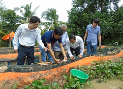 Bí thư Tỉnh ủy Vĩnh Long Trần Văn Rón: Hội cần làm tốt vai trò tham mưu