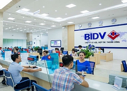 BIDV họp cổ đông sớm, xuất hiện phương án cổ tức bằng cổ phiếu, tiếp tục chào bán tăng vốn