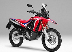 Bộ đôi "cào cào lá tre" Honda CFR250 Rally và CRF250L 2020 sắp sửa ra mắt