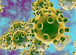 CDC: SARS-CoV-2 lây nhiễm qua tiếp xúc bề mặt hơn là qua không khí