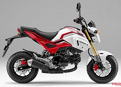 Naked bike cỡ nhỏ MSX125 lên đời với dàn áo mới, giá đắt đỏ