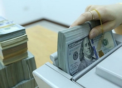 Tỷ giá trung tâm lần đầu giảm nhiệt trong năm Canh Tý