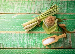 Cẩm nang mẹ bầu: Tác dụng của sả đối với bà bầu