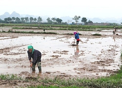 Chống thất thoát nguồn nước vụ Xuân