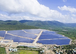 Điện Gia Lai báo lãi tăng 75% năm 2019, kế hoạch 2020 đạt 320 tỷ