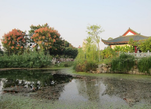 Giữa sự hoảng loạn tâm dịch bệnh, một bức thư tình của người con gái Vũ Hán gửi cho thế giới đã lay động trái tim mọi người