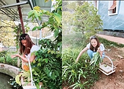 Nam Thư vào nhà thờ Tổ của Hoài Linh, nhiều khán giả phản ứng vì trang phục