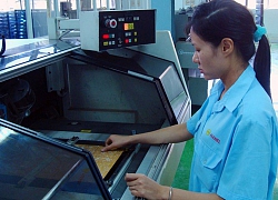 Ngày 13/2, hơn 192 triệu cổ phiếu Hanel sẽ giao dịch với giá tham chiếu 10.900 đồng/CP