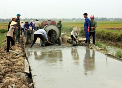 Nông dân tích cực làm giàu, đẹp những miền quê đất cảng Hải Phòng