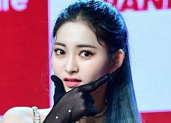 Nữ tân binh Kpop được gọi là 'tiểu Tzuyu (TWICE)', Knet mỉa mai: 'Giống Jihyo hơn'