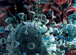 [Infographics] So sánh các chủng thuộc họ virus corona