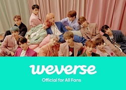 Thông điệp 'Weverse OUT' và sự phẫn nộ khủng khiếp của fan SEVENTEEN trước viễn cảnh 'về chung nhà' với BTS