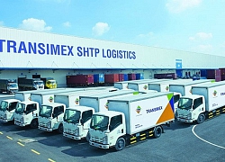 Transimex (TMS) chuẩn bị trả cổ tức năm 2018 bằng cổ phiếu tỷ lệ 15%