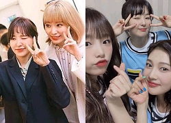 5 khoảnh khắc tương tác cực đáng yêu giữa Red Velvet và IZ*ONE