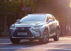 Bảng giá xe Lexus mới nhất tháng 2/2020: "Em út" Lexus NX 300 giá hơn 2,7 tỷ đồng