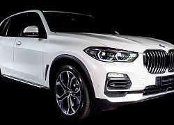 BMW tung ra X5 nội thất siêu sang cực hiếm, sử dụng vật liệu bọc vừa quen vừa lạ