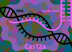 Cột mốc mới trong chỉnh sửa gene CRISPR chống ung thư