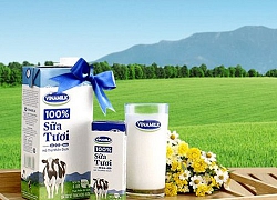 Vinamilk thu gần 2 tỷ đồng lãi ngân hàng mỗi ngày