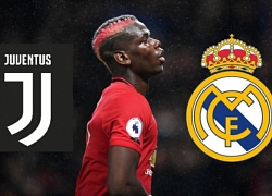 "Gã khổng lồ" rất nhanh, chốt khả năng ký Pogba