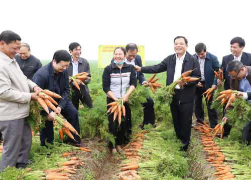 Giữa dịch cúm corona, Bộ NNPTNT hối hả đi "bán" nông sản