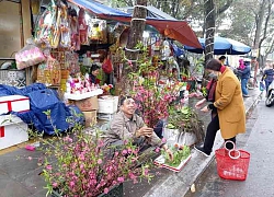 Giữa mùa dịch nCoV, đào mini xuống chợ "hút khách" ngày rằm tháng Giêng