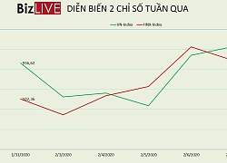 Tiền vào Ngân hàng áp đảo, VN-Index hồi phục giữa tâm điểm nCoV