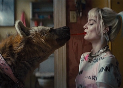 Review 'Birds of Prey': Cuộc lột xác huy hoàng của 5 chị Dậu phiên bản Hollywood