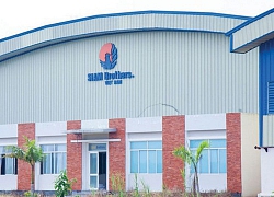 Siam Brothers Việt Nam (SBV): Lợi nhuận năm 2019 tăng 6% nhờ đột biến trong quý IV