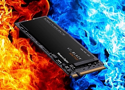 Top 10 dòng SSD đáng mua nhất dành cho game thủ đầu năm 2020