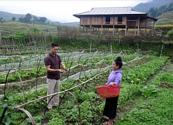 Trao vốn, kiến thức, tạo sức bật cho nông dân