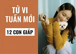 Tử vi tuần mới của 12 con giáp (từ 10/2- 16/2/2020): Tỵ có Thiên Đức cát tinh "mách nước", Thìn cần đề phòng họa