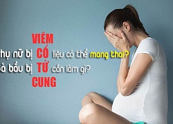 Viêm cổ tử cung có mang thai được không? Đâu là cách phòng bệnh hiệu quả