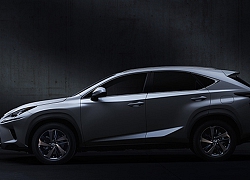 Lexus ra mắt NX 300 bản 2020 tại Việt Nam, giá bán 2,56 tỷ đồng