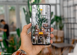 Nên chọn OPPO Reno2 hay Samsung Galaxy Note 10 Lite ở phân khúc cận cao cấp?