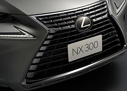 Tăng giá 50 triệu đồng, Lexus NX300 2020 có thêm những trang bị gì?