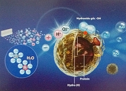 Những điều nên và không nên làm giữa tâm dịch corona và H5N1