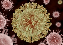 Thuốc chống virus từ... đường