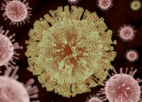 Thuốc chống virus từ... đường