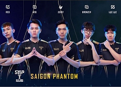 BronzeV: 'SGP là đội duy nhất có thể phá vỡ thế độc tôn của Team Flash'