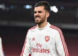 Ceballos khó có cơ hội dự EURO 2020 với Tây Ban Nha