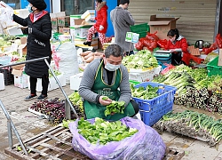 Chợ Vũ Hán hoạt động lại